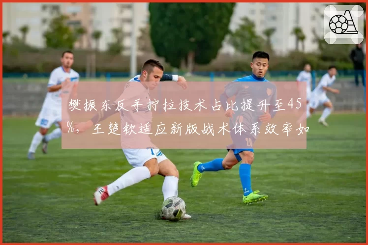 樊振东反手拧拉技术占比提升至45%，王楚钦适应新版战术体系效率如何？