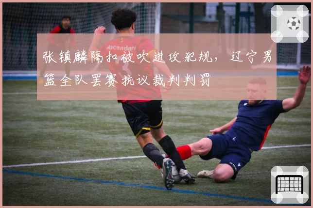 张镇麟隔扣被吹进攻犯规，辽宁男篮全队罢赛抗议裁判判罚