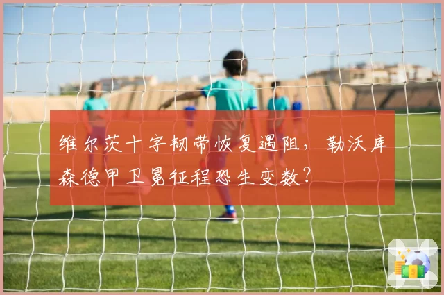 维尔茨十字韧带恢复遇阻，勒沃库森德甲卫冕征程恐生变数？