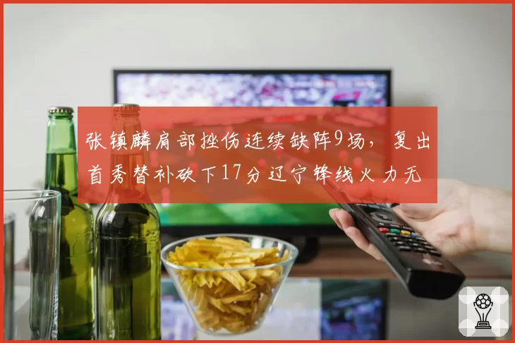 张镇麟肩部挫伤连续缺阵9场,复出首秀替补砍下17分辽宁锋线火力无缝衔接_br_