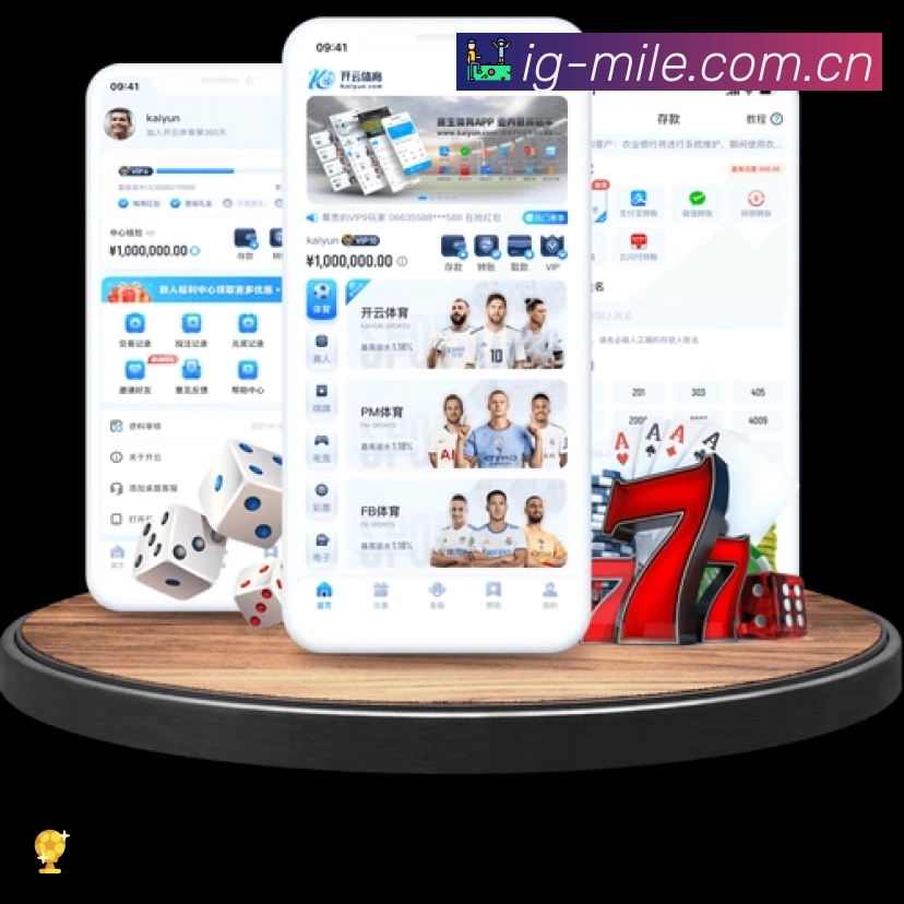 安全使用与支持流程